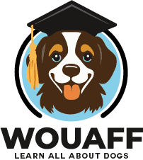 WOUAFF
