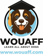 woauff_logo